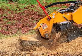 Best Tree Disease Treatment  in Lyndhurst, VA