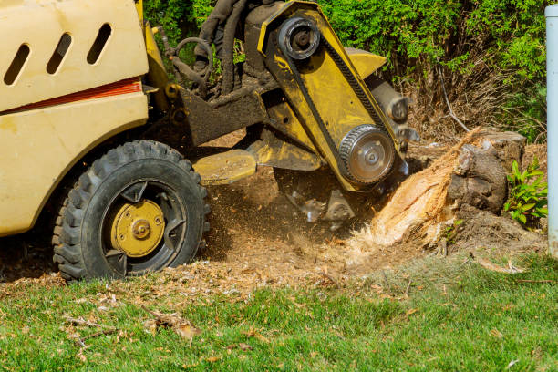 Soil Testing and Treatment in Lyndhurst, VA