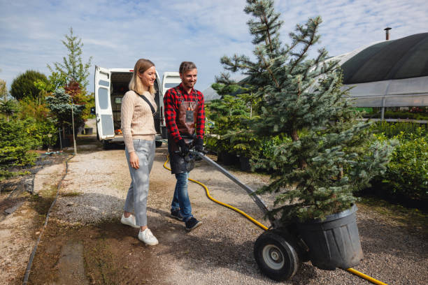 Best Leaf Removal  in Lyndhurst, VA